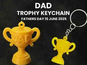 Dad Trophy Keyring - Fathers Day 2026