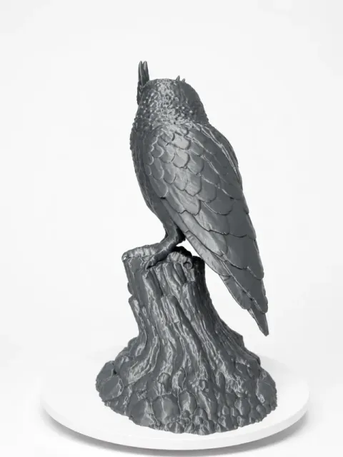 Eurasian Eagle Owl – Ancient Forest Sentinel — Фото 3 из 8