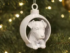 Jack Russell Terrier in Christmas Bauble. So sweet