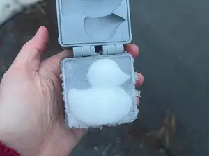 Snow Duck