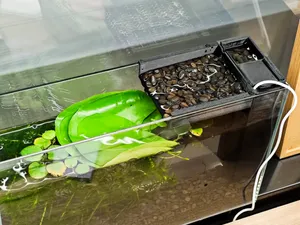 小型鱼缸过滤装置