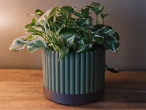 Modern Ribbed Planter Sleeve