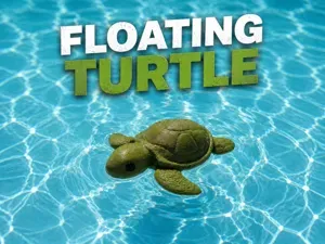 Floating Turtle for the Pool