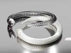 Snake - Symbol of Rebirth