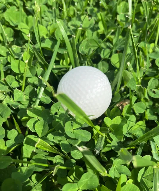 Golf Ball — Фото 3 из 5