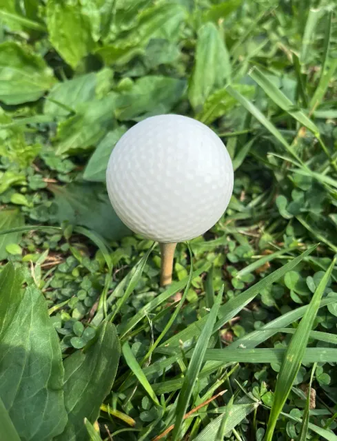Golf Ball — Фото 2 из 5