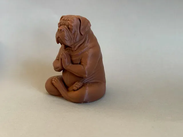 Meditating Dogue de Bordeaux – French Mastiff — Фото 7 из 7