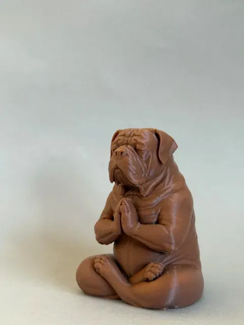 Meditating Dogue de Bordeaux – French Mastiff — Фото 6 из 7