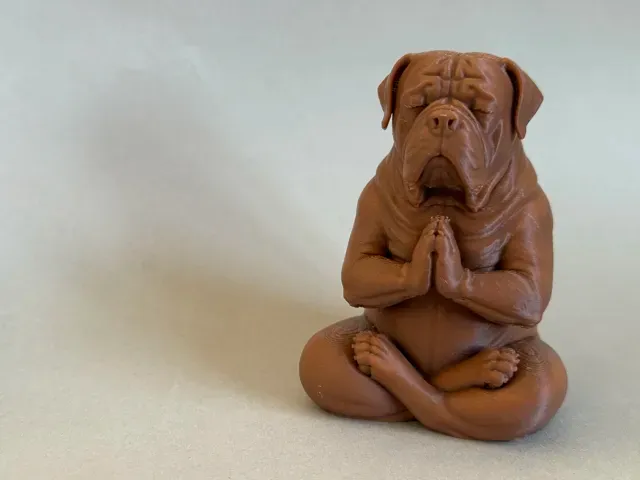 Meditating Dogue de Bordeaux – French Mastiff — Фото 4 из 7