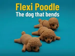 Flexi Poodle – The dog that bends