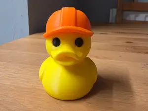 Builder Duck