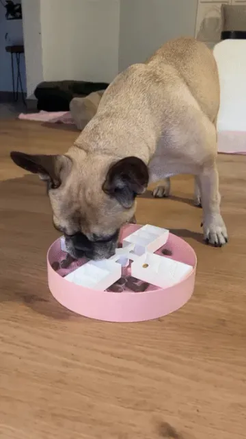Rotating Dog Slow Feeder Bowl — Фото 4 из 8