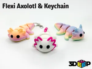 Flexi Axolotl & Keychain - No Supports
