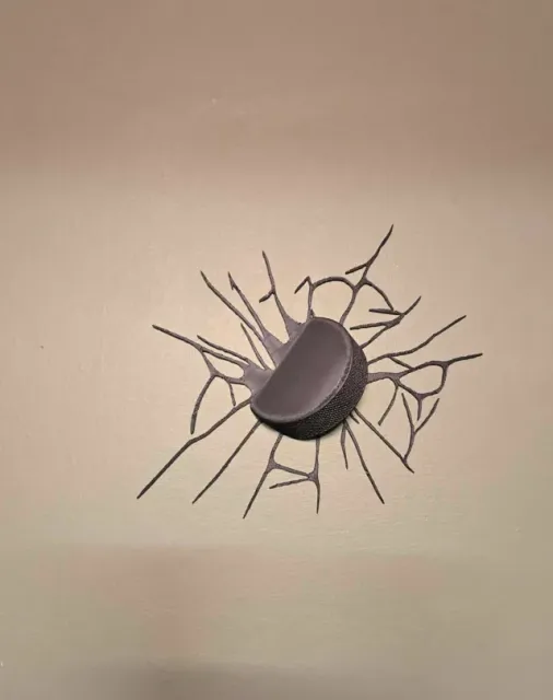 Hockey Puck Wall Shot — Фото 2 из 3
