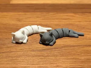 Flexi Katze / Gelenkige Katze