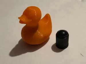 Duck Valve Cap