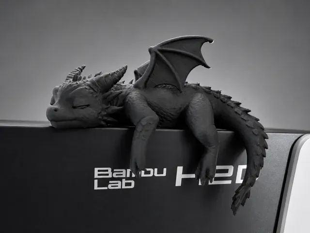 Sleeping Baby Dragon