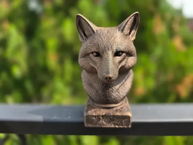 FOX BUST — Фото 4 из 9
