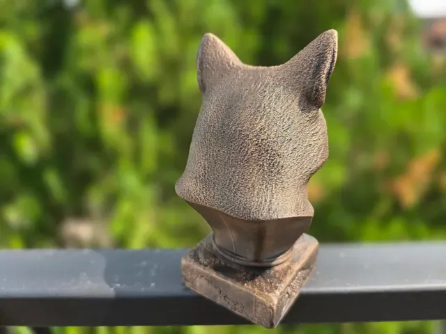 FOX BUST — Фото 7 из 9