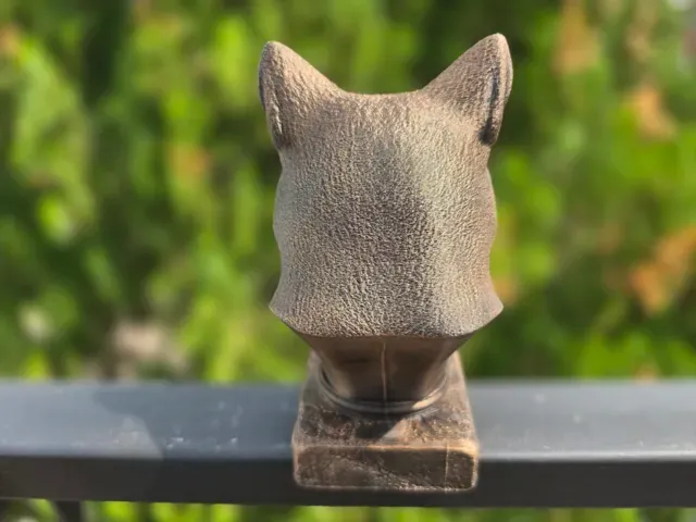 FOX BUST — Фото 8 из 9