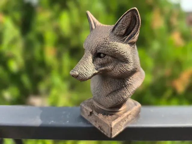 FOX BUST — Фото 2 из 9