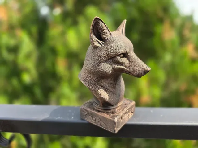 FOX BUST — Фото 5 из 9
