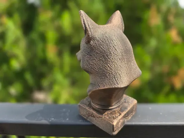 FOX BUST — Фото 9 из 9