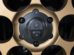 TANK 300 Spare tire camera cover