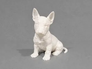 Puppy of Bull Terrier - Dog - Animal