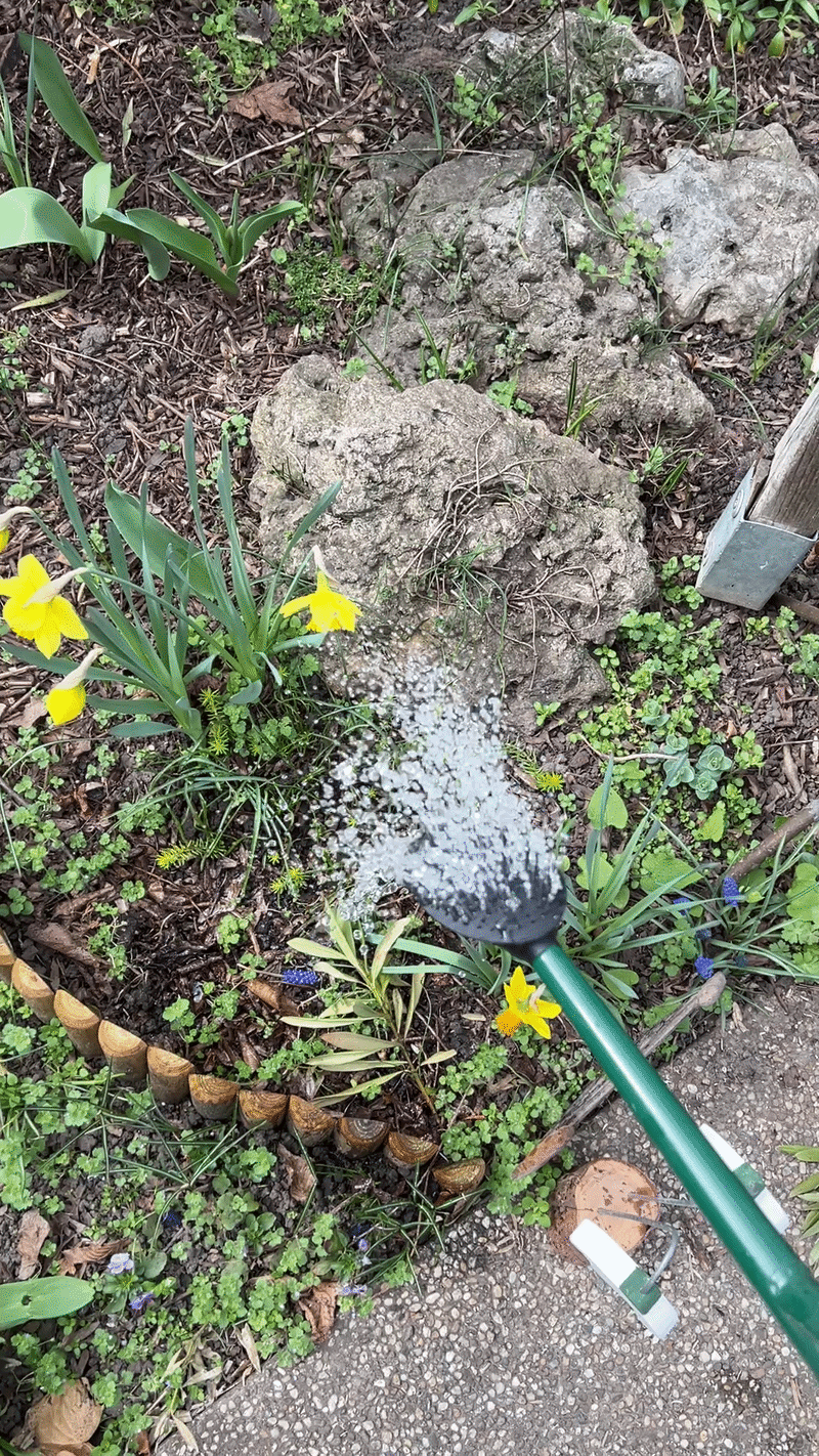 Watering Can Shower Head + Size Adapter