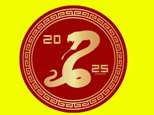 2025 Snake Las Vegas-Inspired Chip for New Year