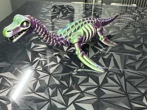 Skeleton Plesiosaurus