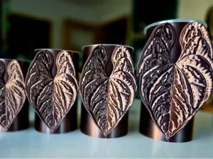 Anthurium Luxurians self watering pot