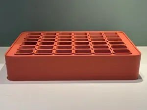 Seed Tray with 36 pots and cover