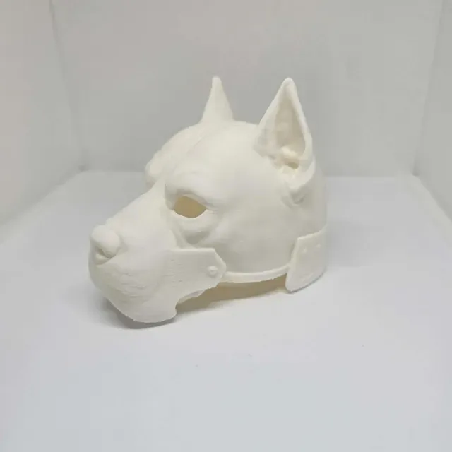 Cane Corso Helmet — Фото 2 из 3