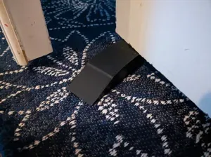 Simple Cat Door Wedge to grip carpet and hold open