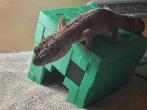 Creeper pet hide