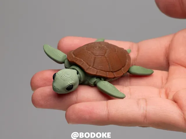 Baby Turtle - Articulated — Фото 3 из 6