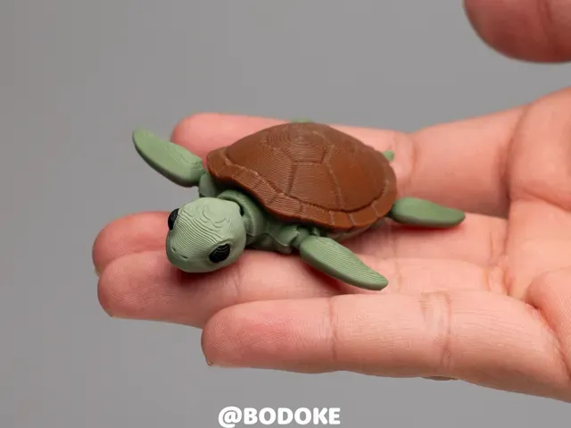 Baby Turtle - Articulated — Фото 2 из 6