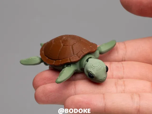 Baby Turtle - Articulated — Фото 5 из 6