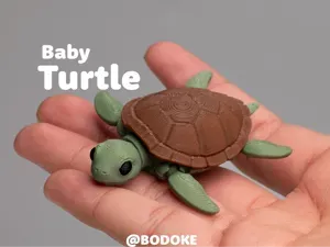 Baby Turtle - Articulated