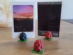 Berry Photo Stand – Raspberry & Blackberry