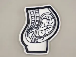 Twin Pregnancy Anatomy Womb Woman Cutter Stamp
