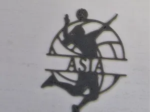 pallavolo asia
