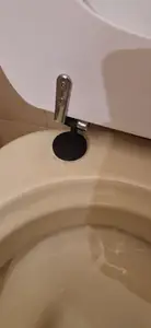 Toilet seat hinge part replacement