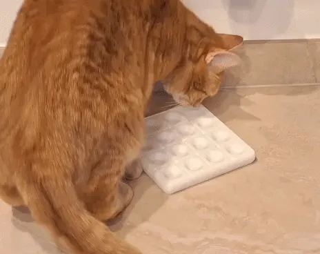 FNT Cat Puzzle Treat Board Sliding Puzzle — Image 17 of 17
