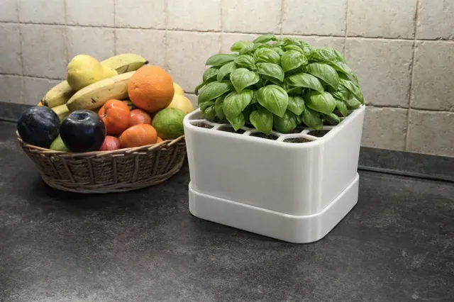 Parametric Self-Watering Planter System — Фото 2 из 16