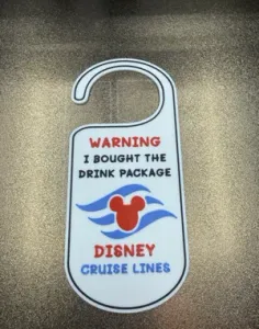 DISNEY CRUISE LINE I BOUGHT THE DRINK PACKAGE