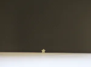 fret marker star