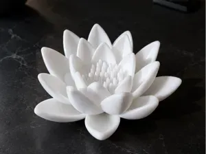 Water lily decor